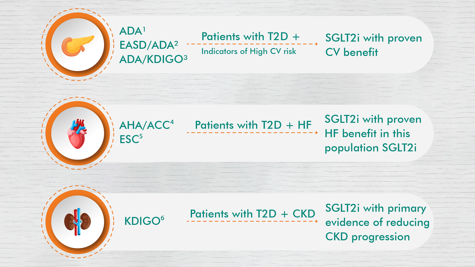PC-AE-102257 Metabolism SYNJARDY_Img 01